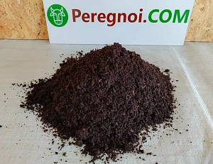 Цикламен: выращивание в домашних условиях