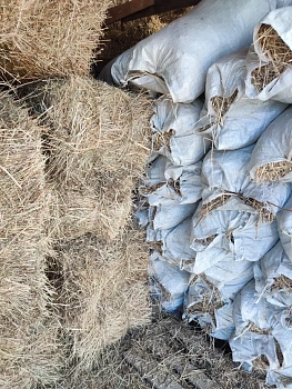 Солома в мешке 60л. (2025 г.)