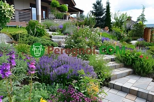 Почвопокровные растения: разновидности и особенности выращивания